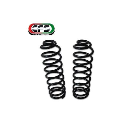 Ressort arrière EFS Toyota HDJ80 HDJ100 HZJ105