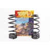 RESSORTS ARRIÈRE RÉHAUSSE +50MM +300-500KG (PAIRE)