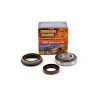 KIT ROULEMENT DE ROUE ARRIÈRE FABRICATION THAILAND VIN MNT