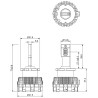 X2 Ampoules LED Purelux Blaze LED, 35 W, D2S