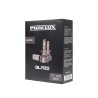 X2 Ampoules LED Purelux Blaze LED, 5000 lm, H7, 6000 K