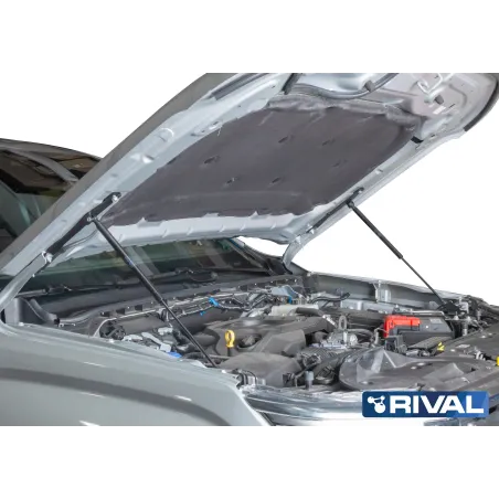 VERINS A GAZ RIVAL FORD RANGER 2022-