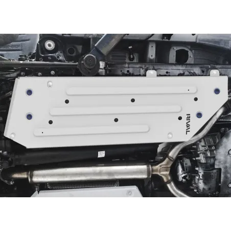 PLAQUE PROTECTION RIVAL RESERVOIR (2pcs) TOYOTA LC300