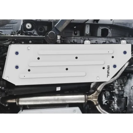 PLAQUE PROTECTION RIVAL RESERVOIR (2pcs) TOYOTA LC300