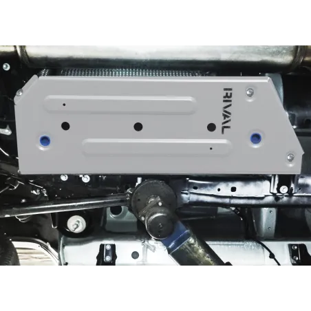 PLAQUE PROTECTION RIVAL RESERVOIR (2pcs) TOYOTA LC300