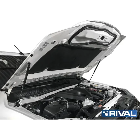 VERIN CAPOT RIVAL ISUZU D-MAX 2021 /    (bQ11)