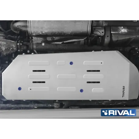 PLAQUE PROTECTION RIVAL RESERVOIR KDJ 150 2009 / (bN11)