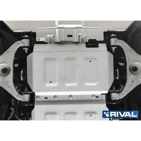 PLAQUE PROTECTION RIVAL MOTEUR FORD RANGER 2012 /  (bO12)