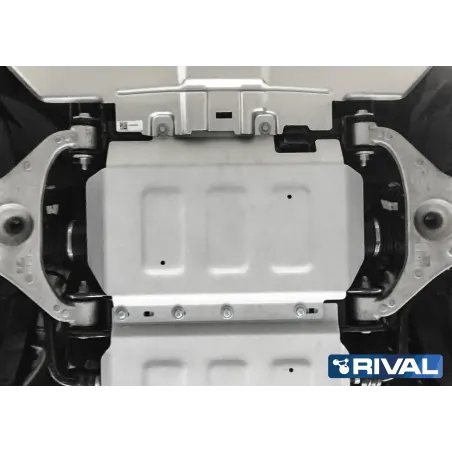 PLAQUE PROTECTION RIVAL MOTEUR FORD RANGER 2012 / (bO12)