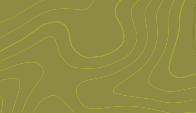 ⭐ Promo Exceptionnelle ! ⭐